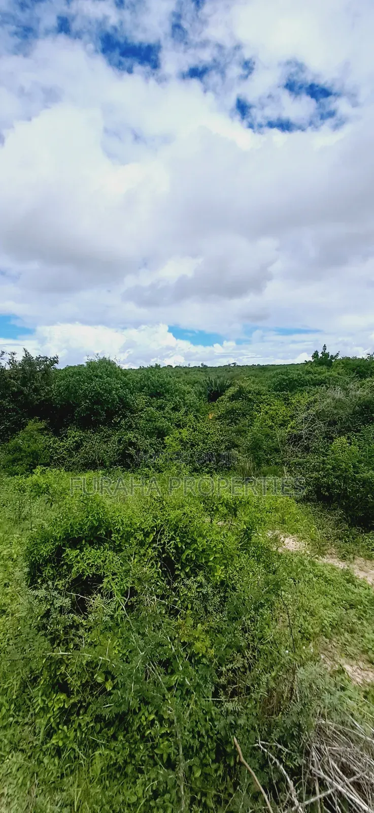 For Sale 18.5 Acres Land Marafa. in Marafa