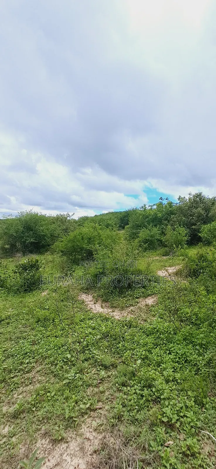 For Sale 18.5 Acres Land Marafa. in Marafa