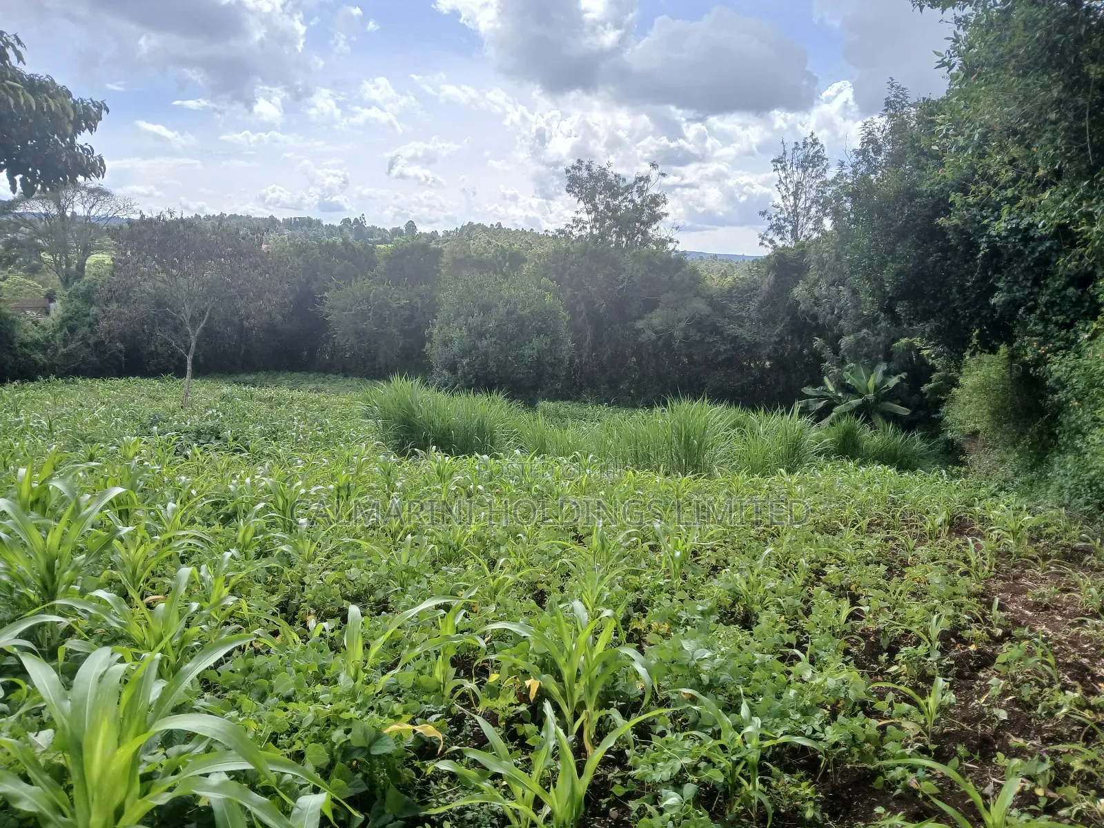 Olkeri Near Karen 3/4 Acre Prime Land for Sale in Ol Keri