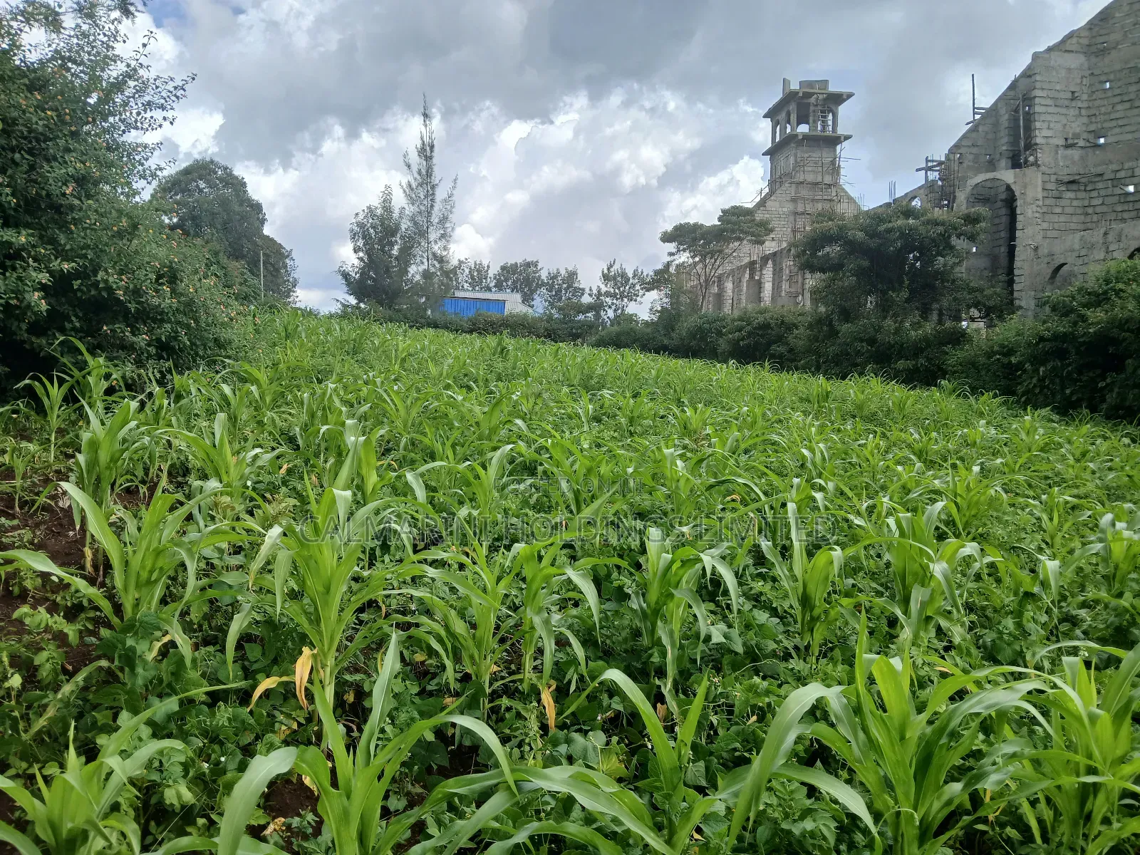 Olkeri Near Karen 3/4 Acre Prime Land for Sale in Ol Keri