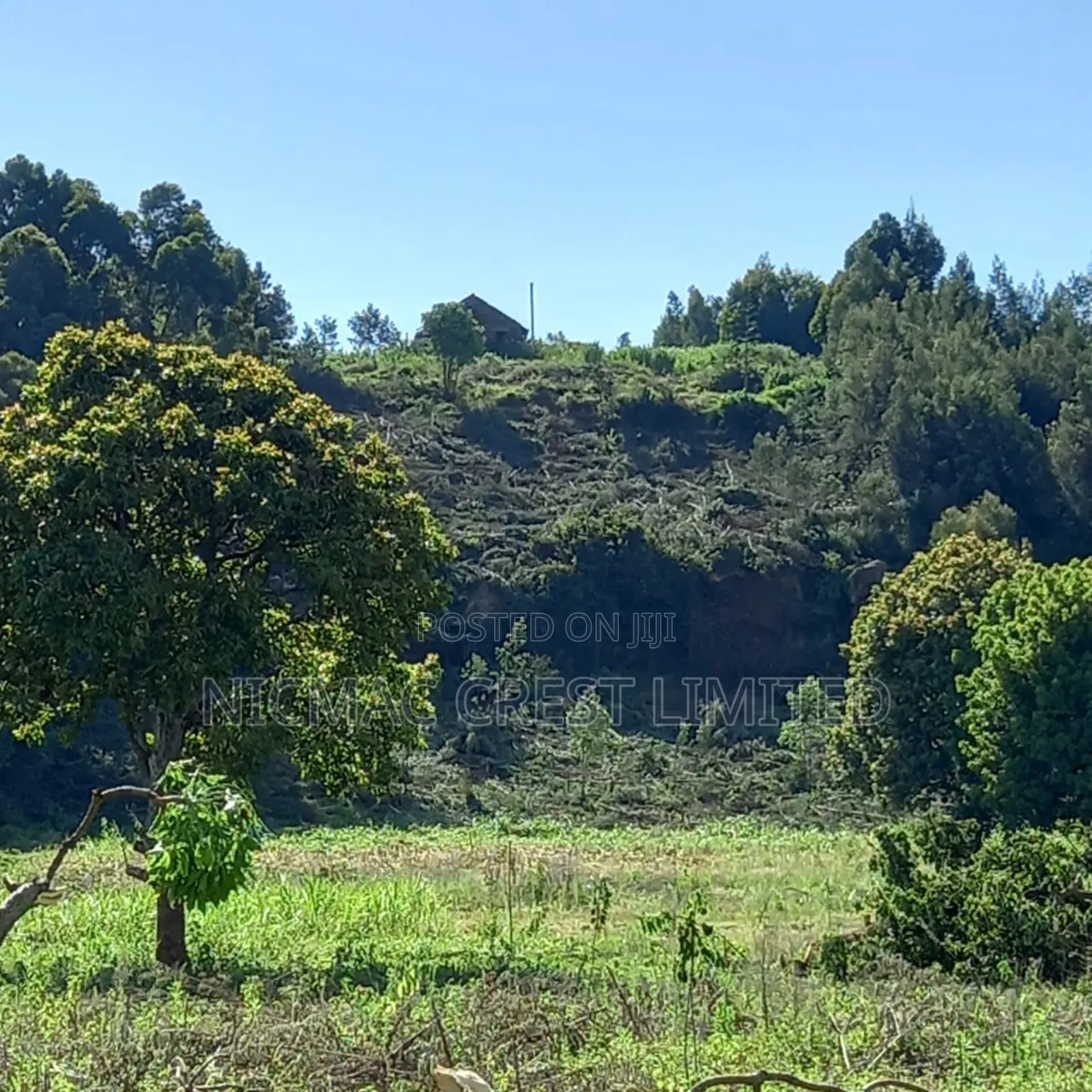 Serviced Plots for Sale in Rironi Near Tilisi in Limuru
