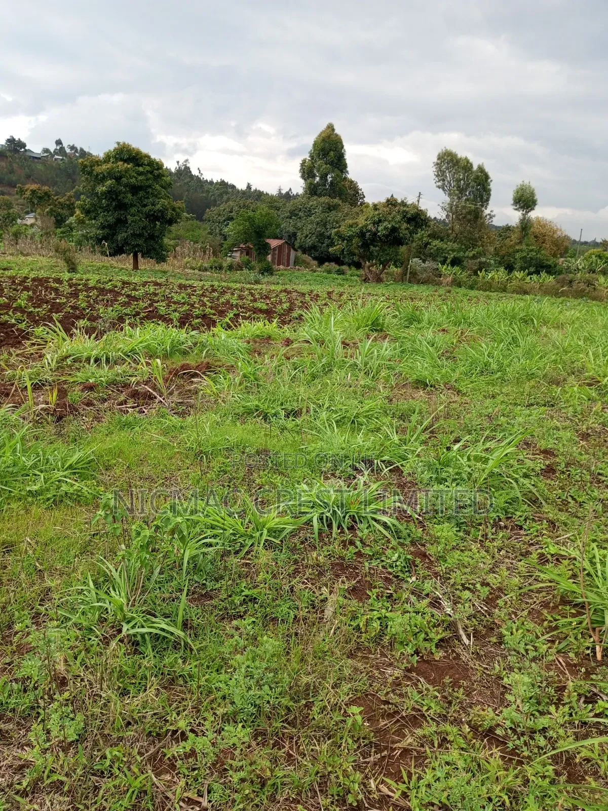 Serviced Plots for Sale in Rironi Near Tilisi in Limuru
