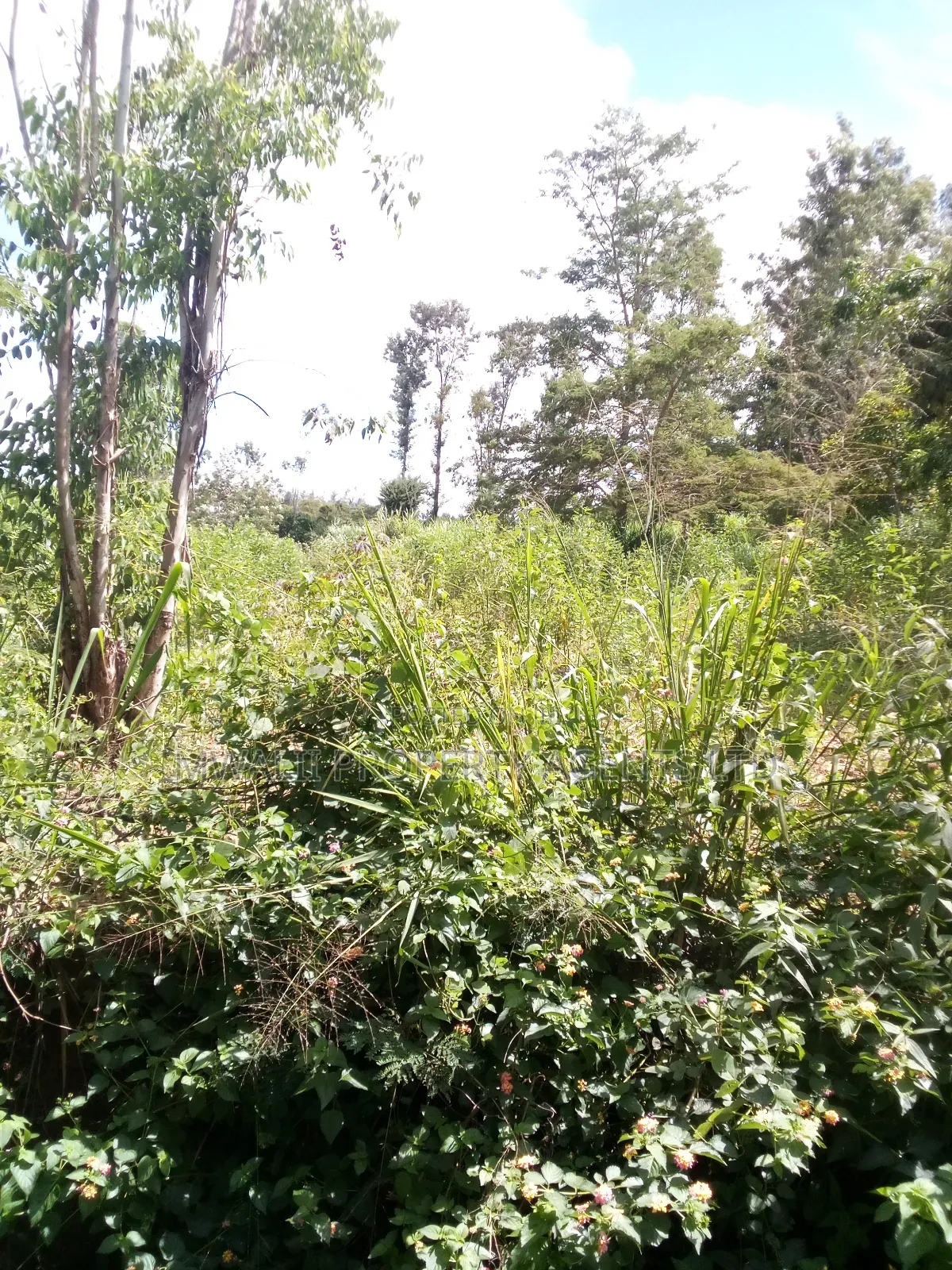 100 Acres Mutha,Kitui in Mutomo