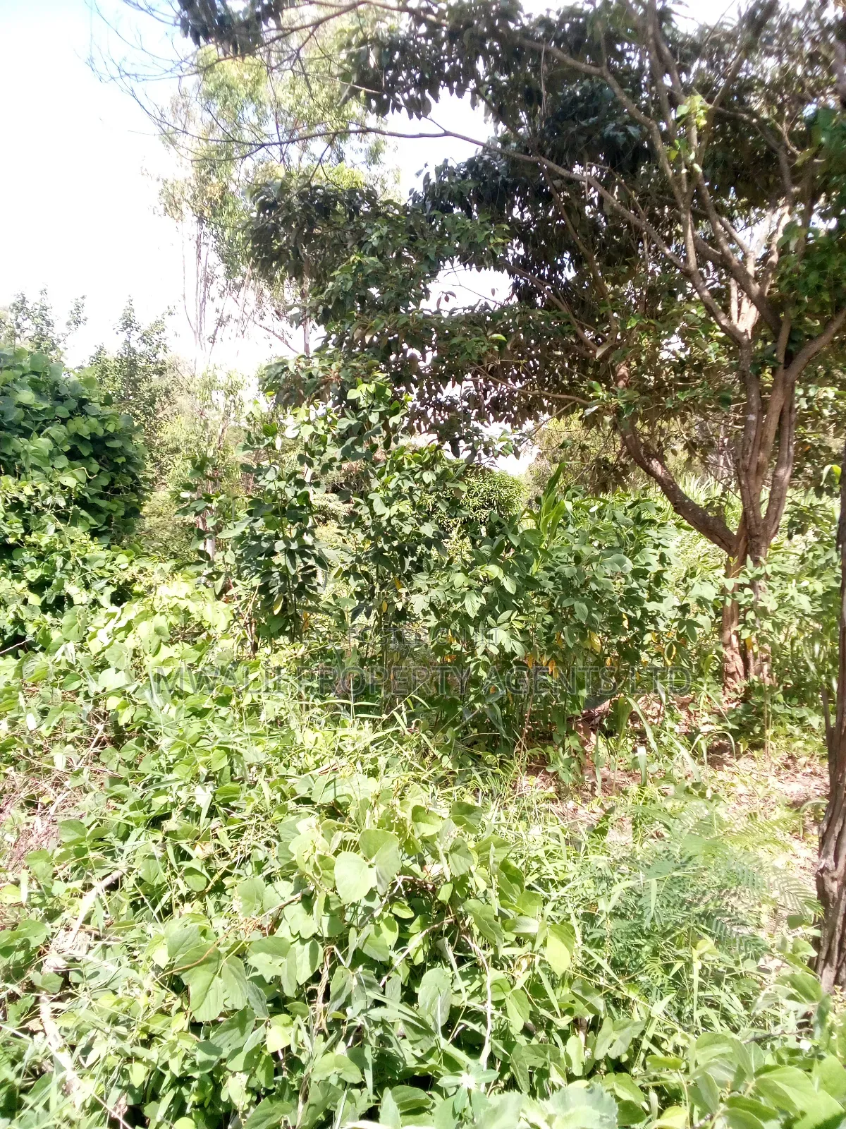 100 Acres Mutha,Kitui in Mutomo