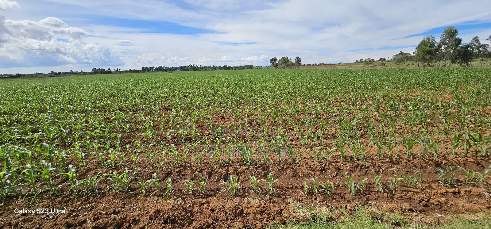 4 Acres for Sale in Kapropu Eldoret Fully Arable in Kuinet