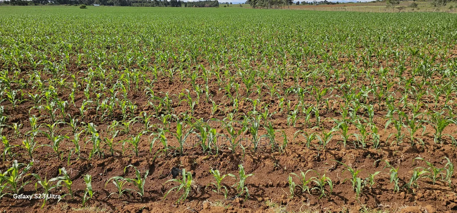 4 Acres for Sale in Kapropu Eldoret Fully Arable in Kuinet