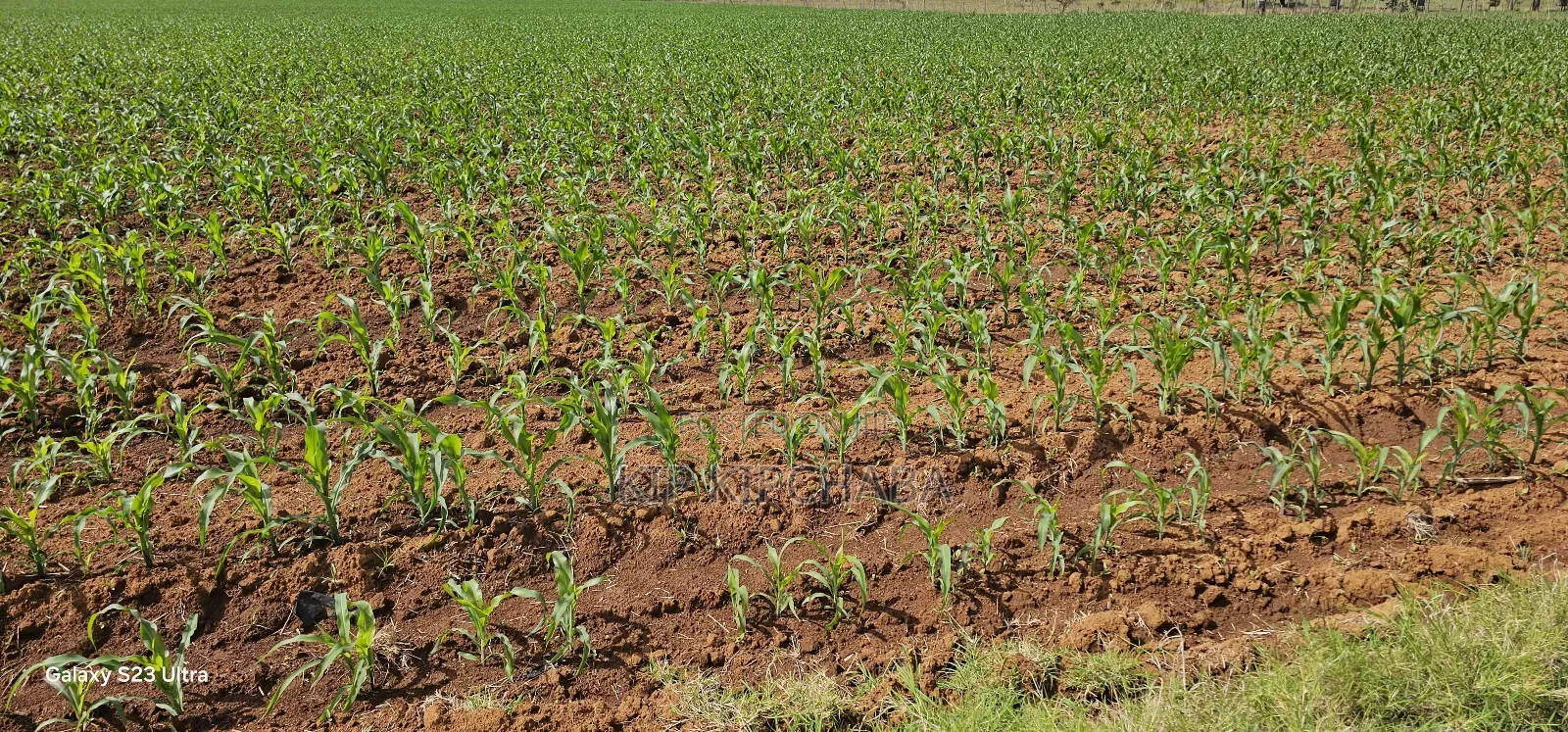 4 Acres for Sale in Kapropu Eldoret Fully Arable in Kuinet