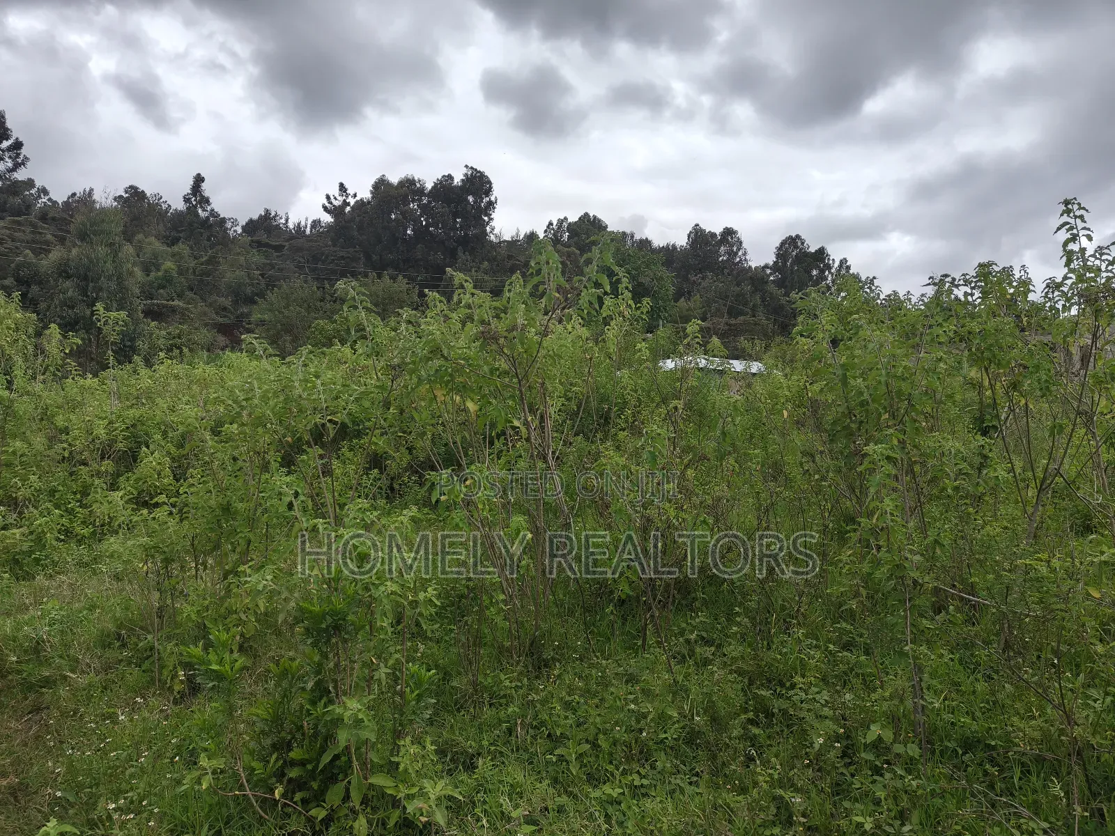 Quarter Acre Plot in Ngong, Matasia 1km From the Tarmac in Matasia
