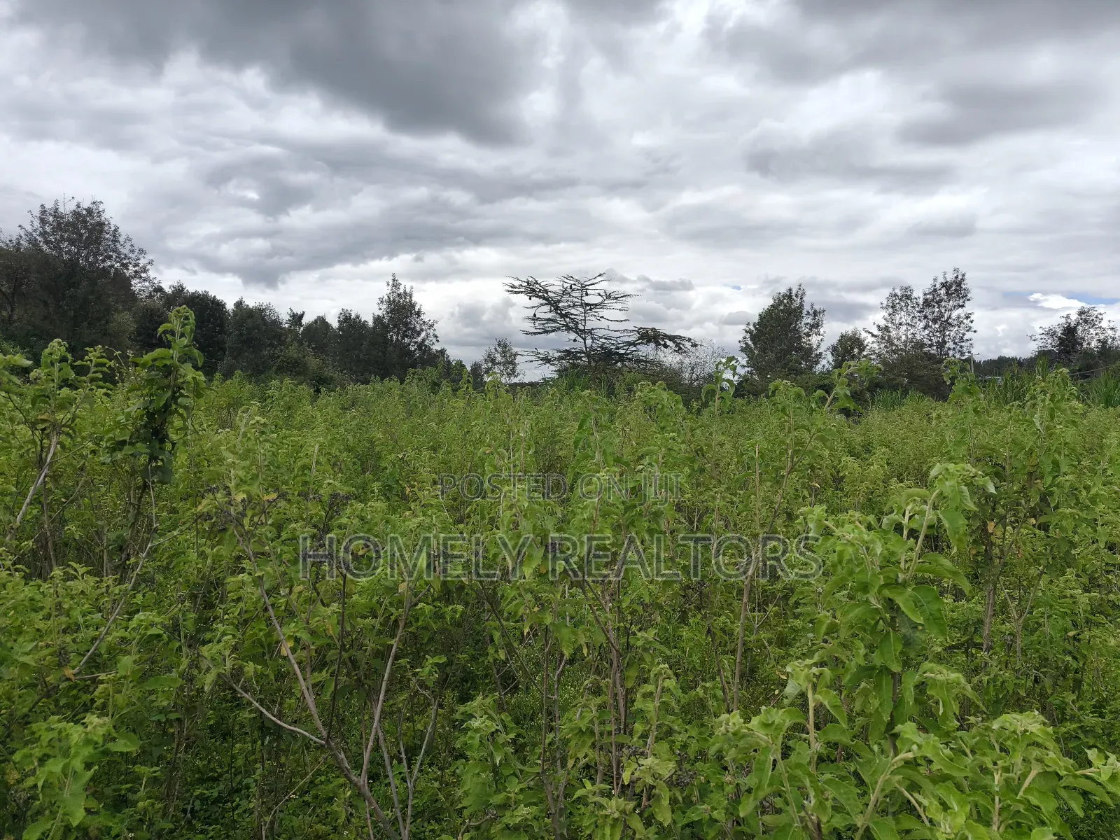 Quarter Acre Plot in Ngong, Matasia 1km From the Tarmac in Matasia
