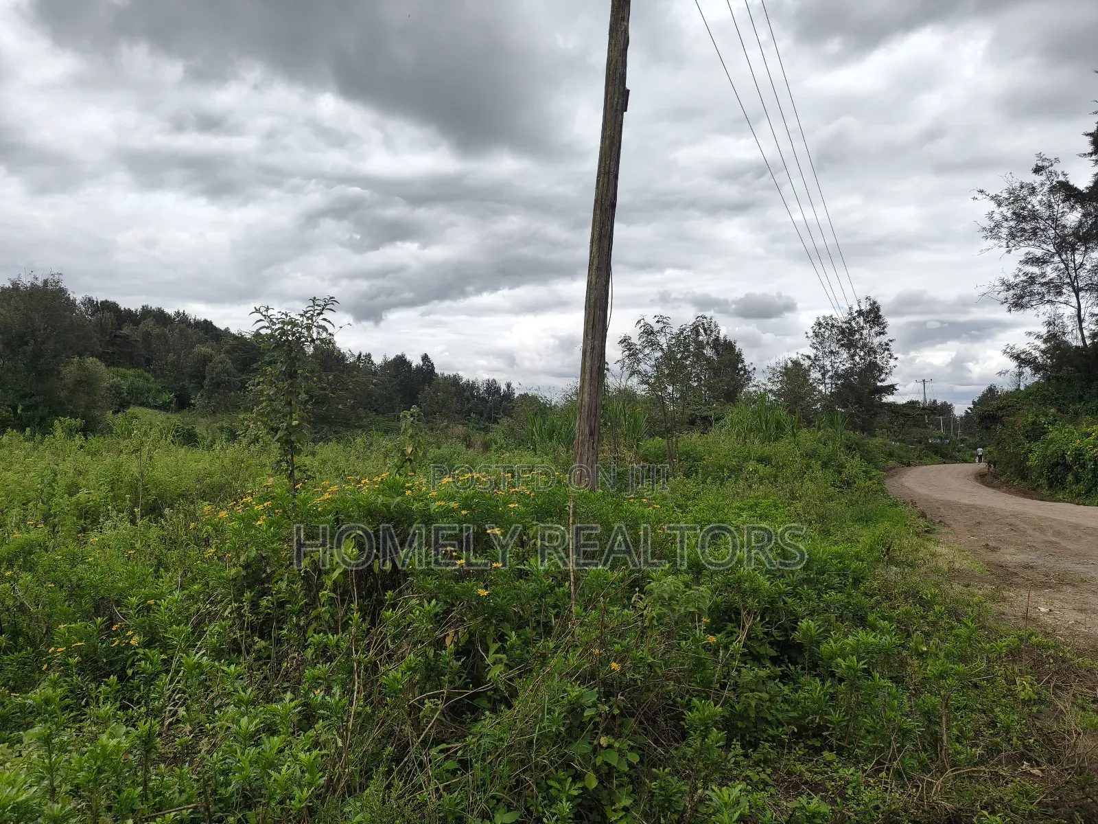 Quarter Acre Plot in Ngong, Matasia 1km From the Tarmac in Matasia
