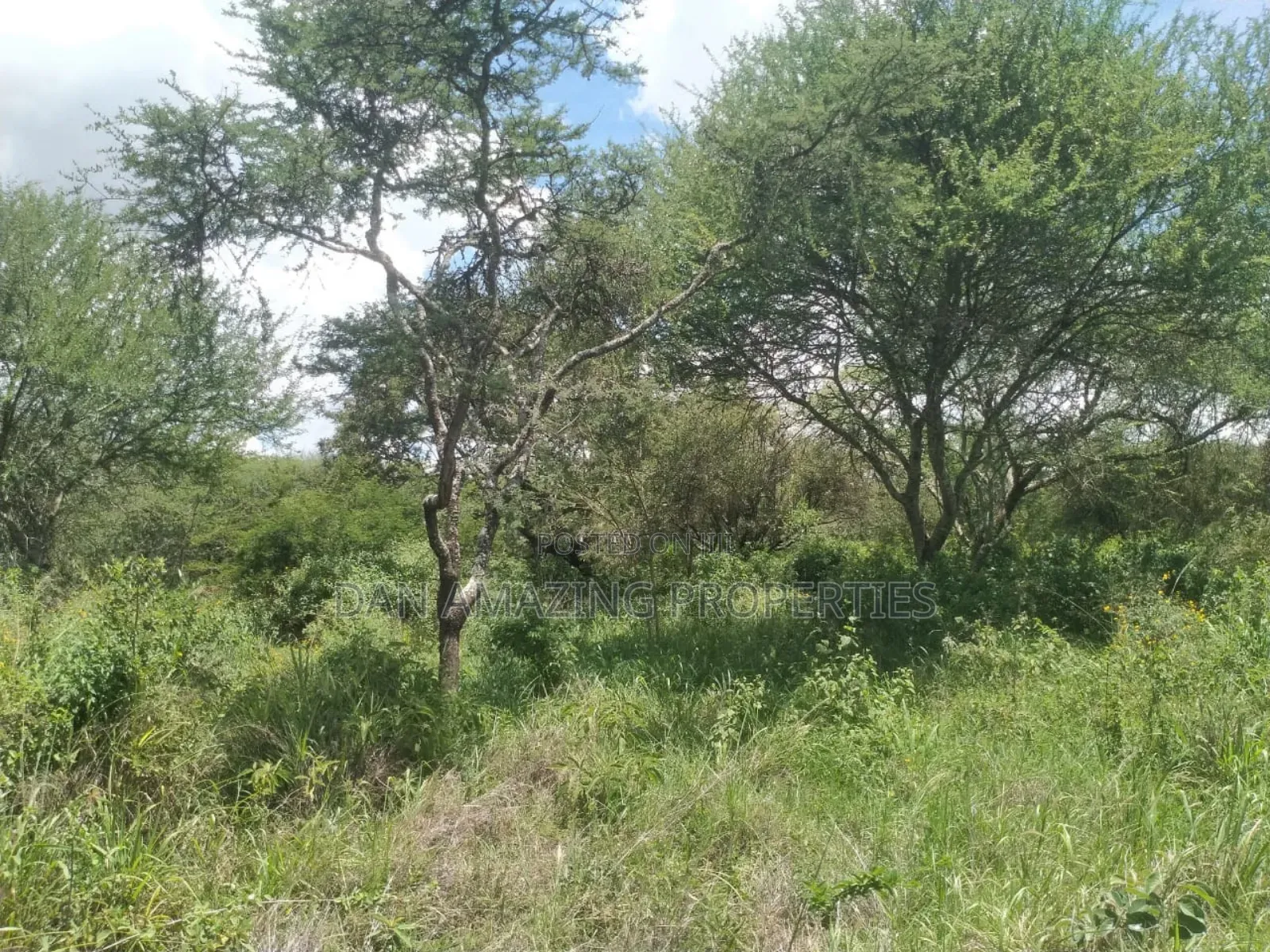 10.8 Acres With Unfinished Mansion Salama Sale Along Msa Rd in Mombasa Road