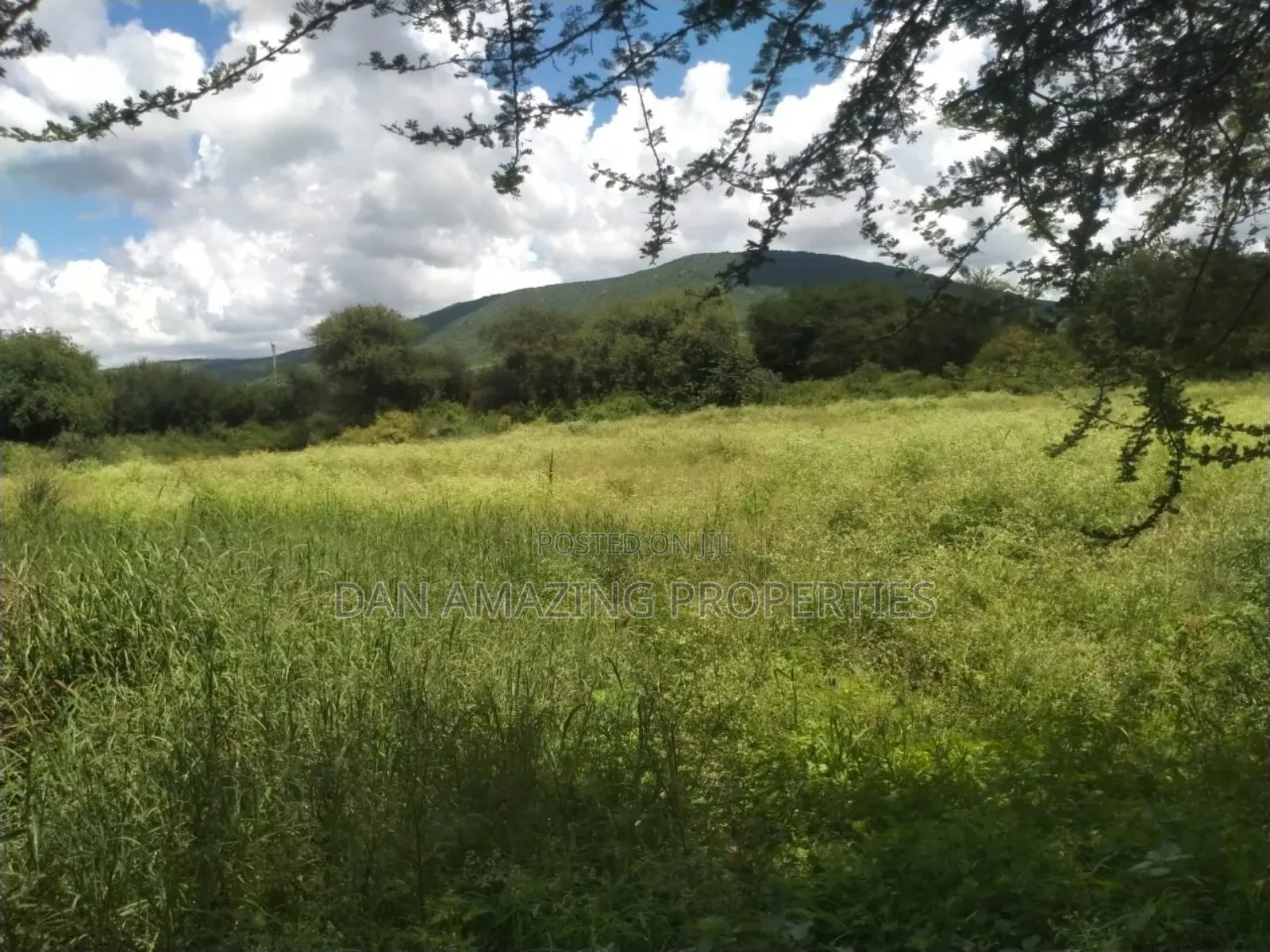 10.8 Acres With Unfinished Mansion Salama Sale Along Msa Rd in Mombasa Road