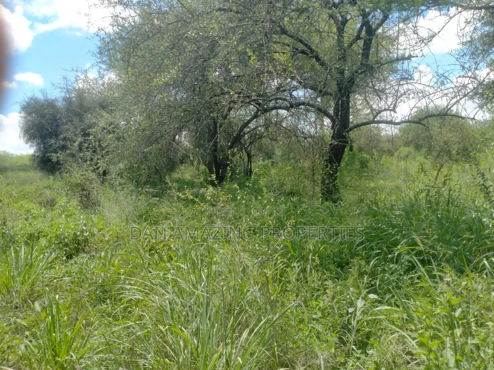 10.8 Acres With Unfinished Mansion Salama Sale Along Msa Rd in Mombasa Road