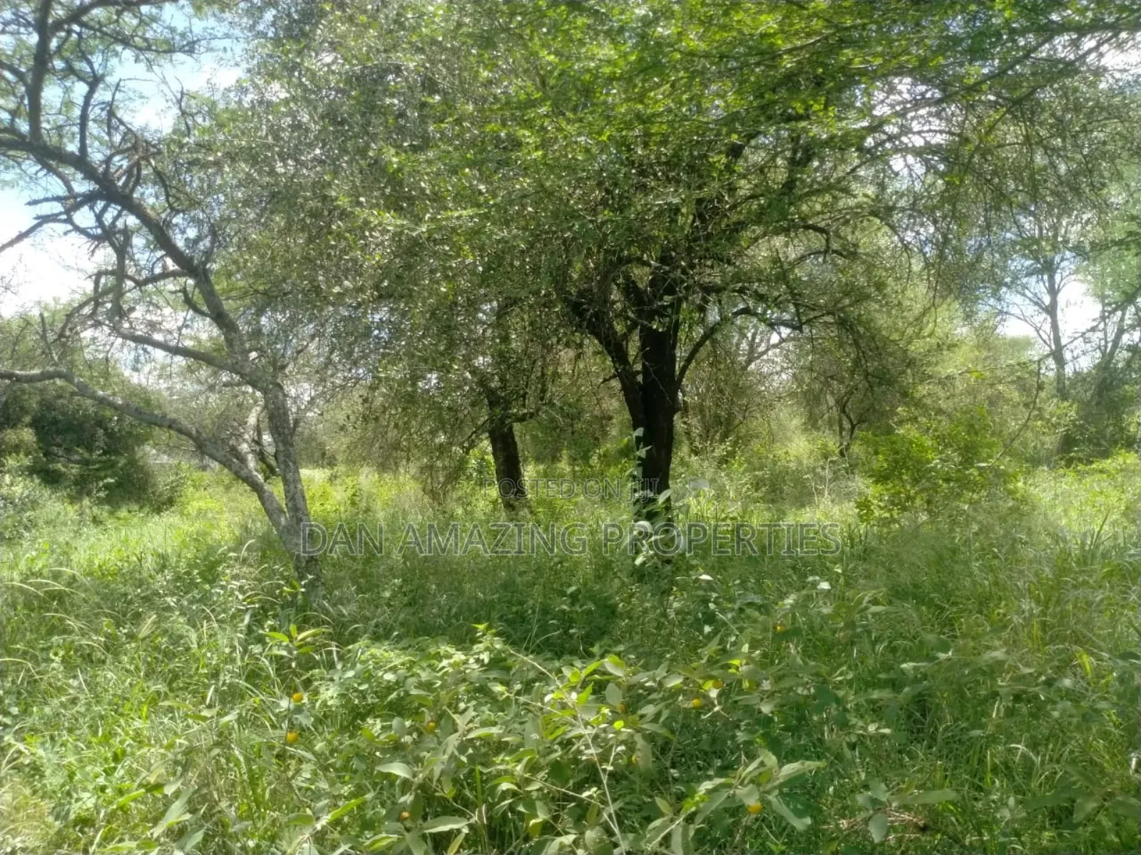 10.8 Acres With Unfinished Mansion Salama Sale Along Msa Rd in Mombasa Road