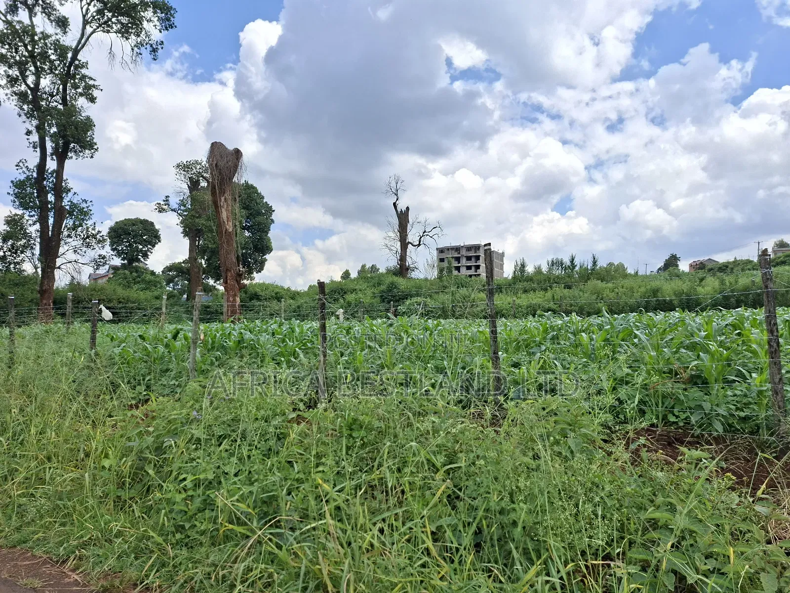 50x100 Available Plot for Sale in Ruaka Muchatha in Ruaka