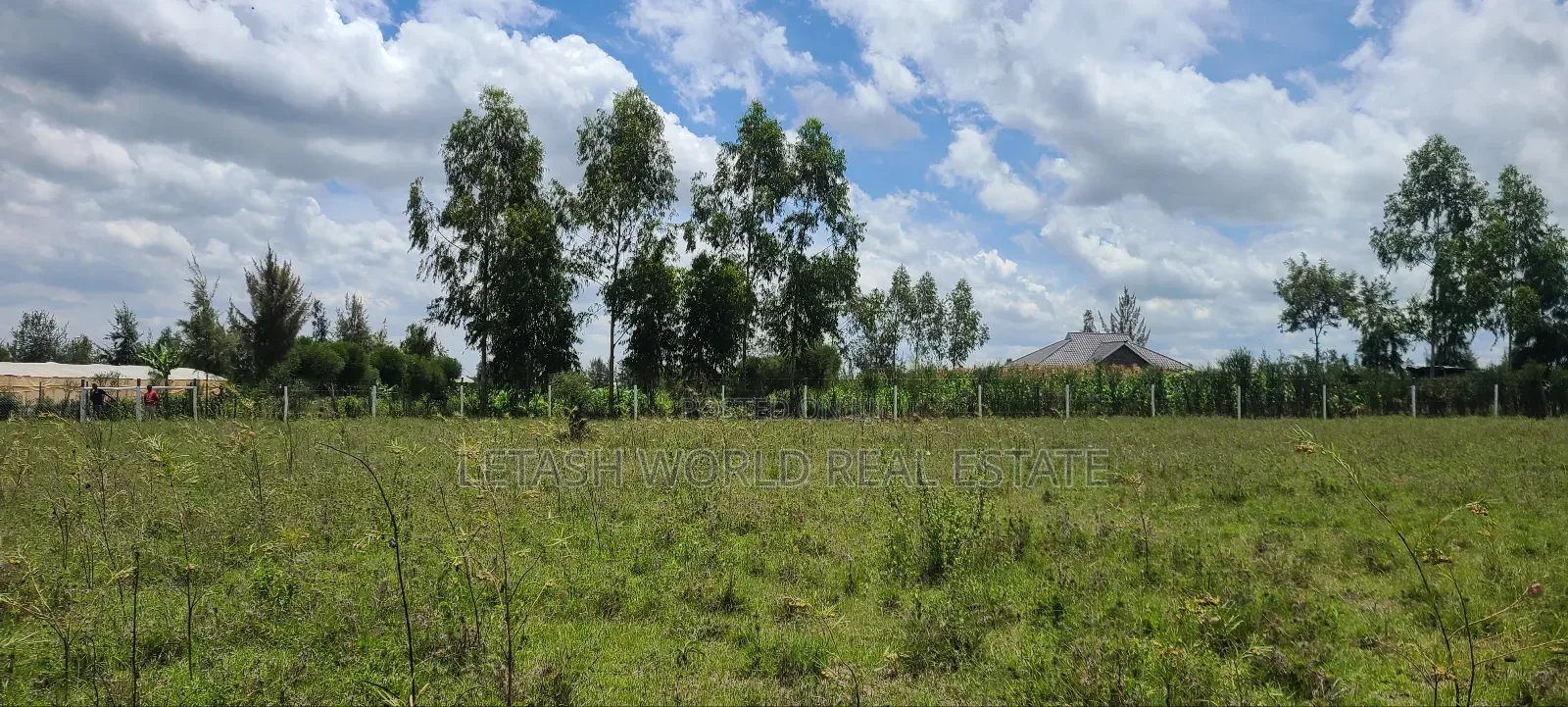 1.49 Million Guarantees a 50 by 100ft Plot in Kitengela