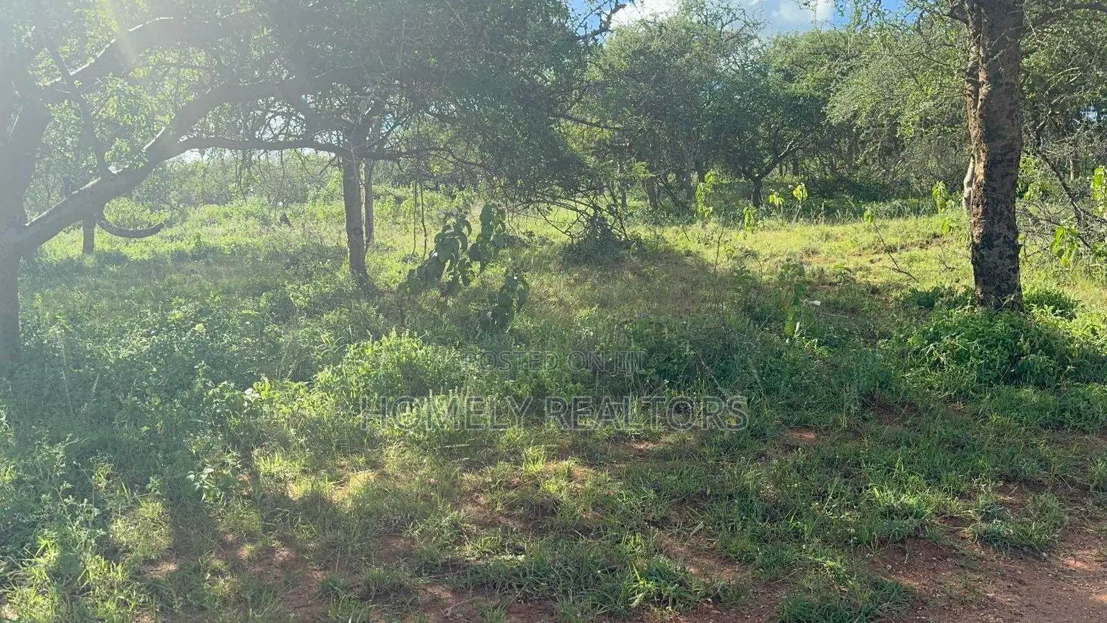 30 Acres of Land in Kumpa Area, Kajiado, Ideal for Many Uses in Kajiado CBD
