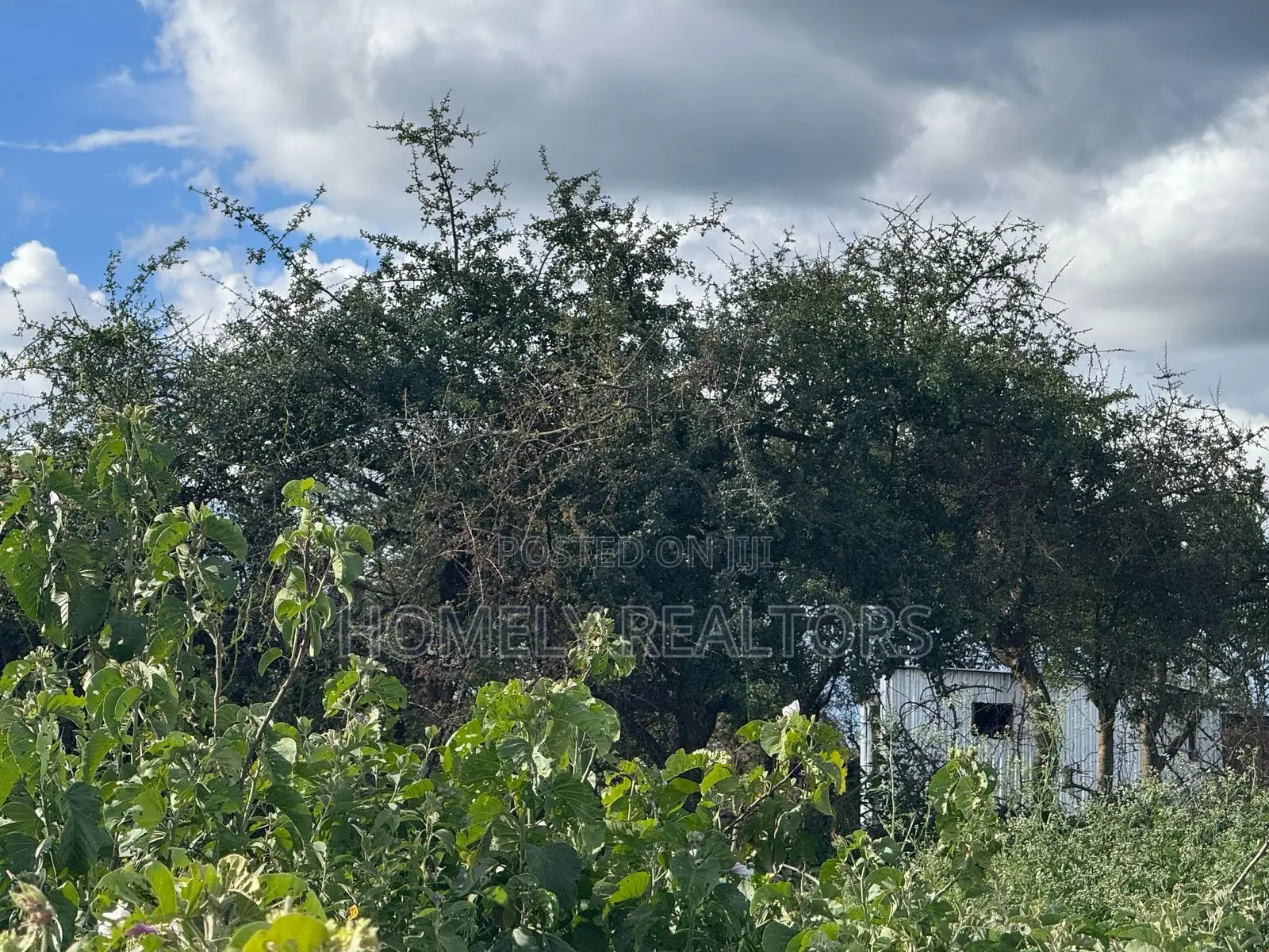 30 Acres of Land in Kumpa Area, Kajiado, Ideal for Many Uses in Kajiado CBD