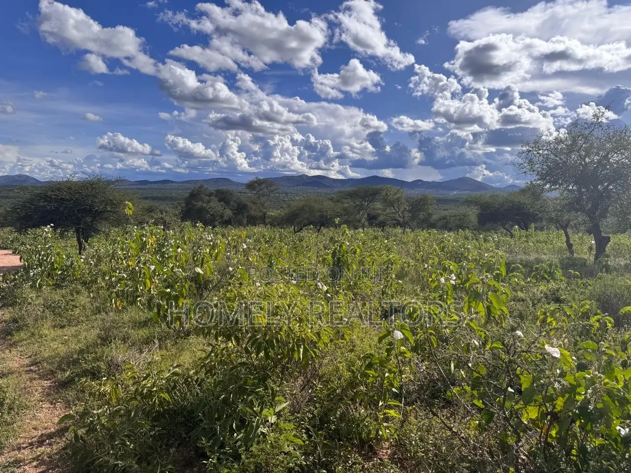 30 Acres of Land in Kumpa Area, Kajiado, Ideal for Many Uses in Kajiado CBD
