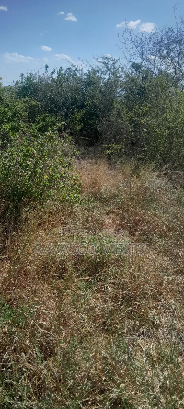 100 Acres Forsale in Adu Kamale in Adu