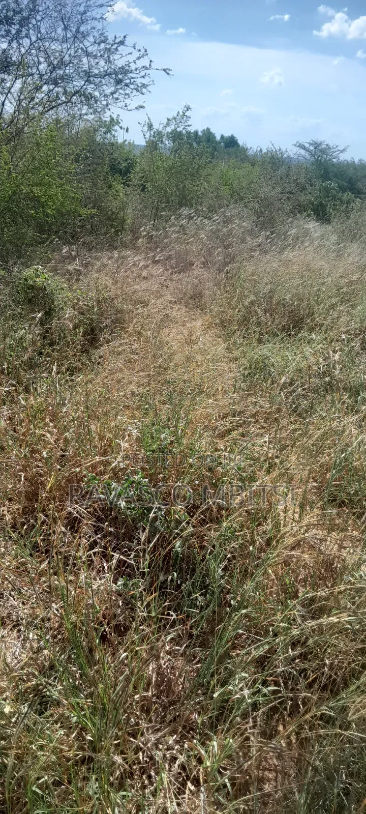 100 Acres Forsale in Adu Kamale in Adu