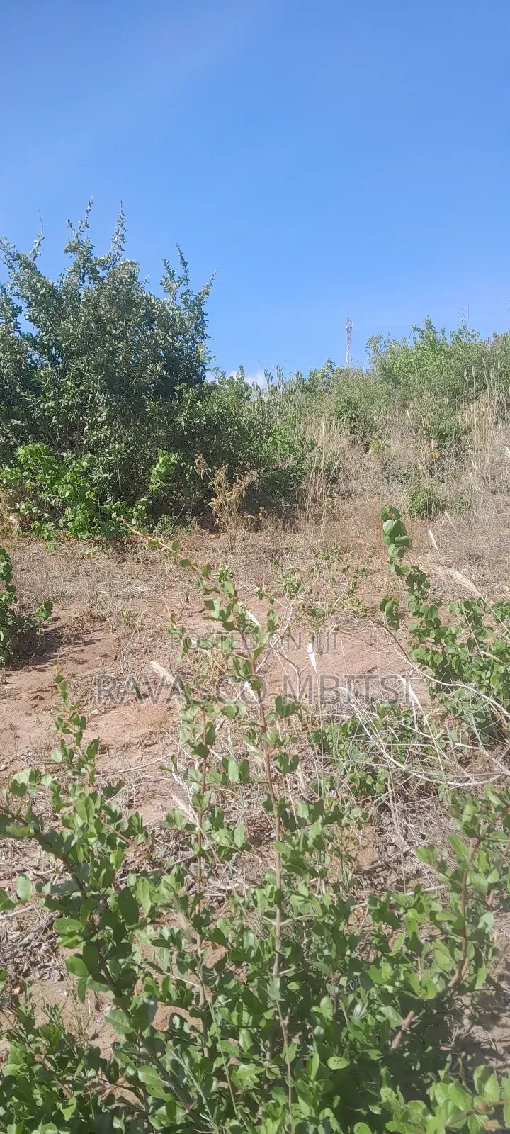 100 Acres Forsale in Adu Kamale in Adu