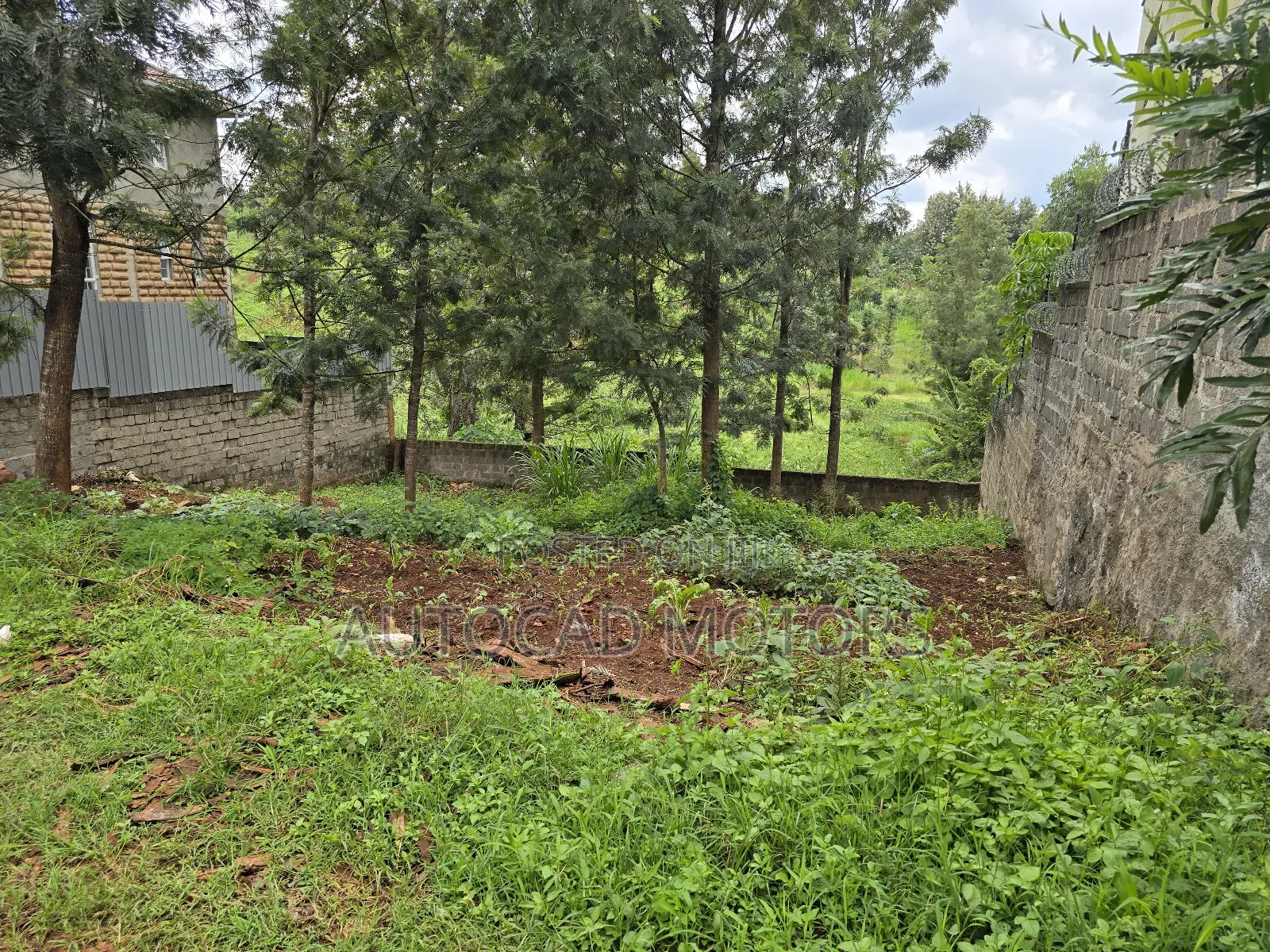 Plot for Sale in Runda in Ruaka