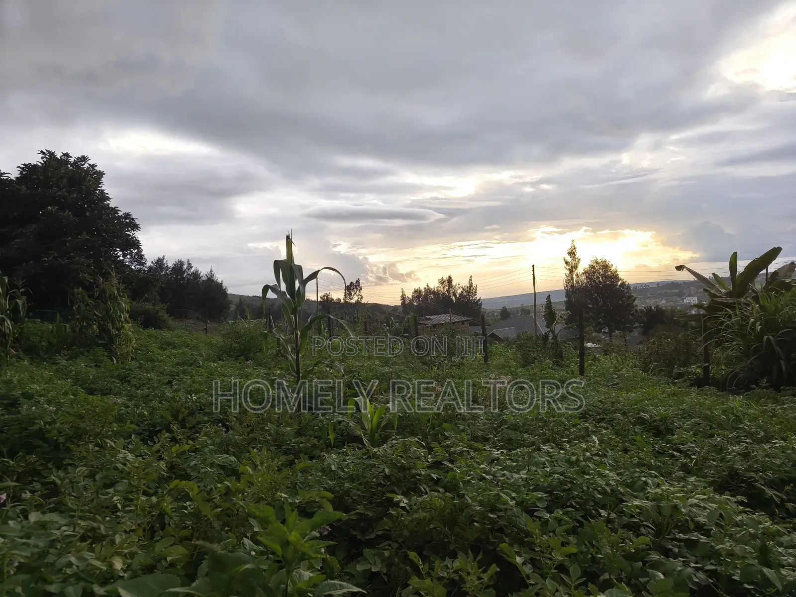 Eighth Acre Plot in Ngong Along Maragara 3rd Row From Tarmac in Ngong