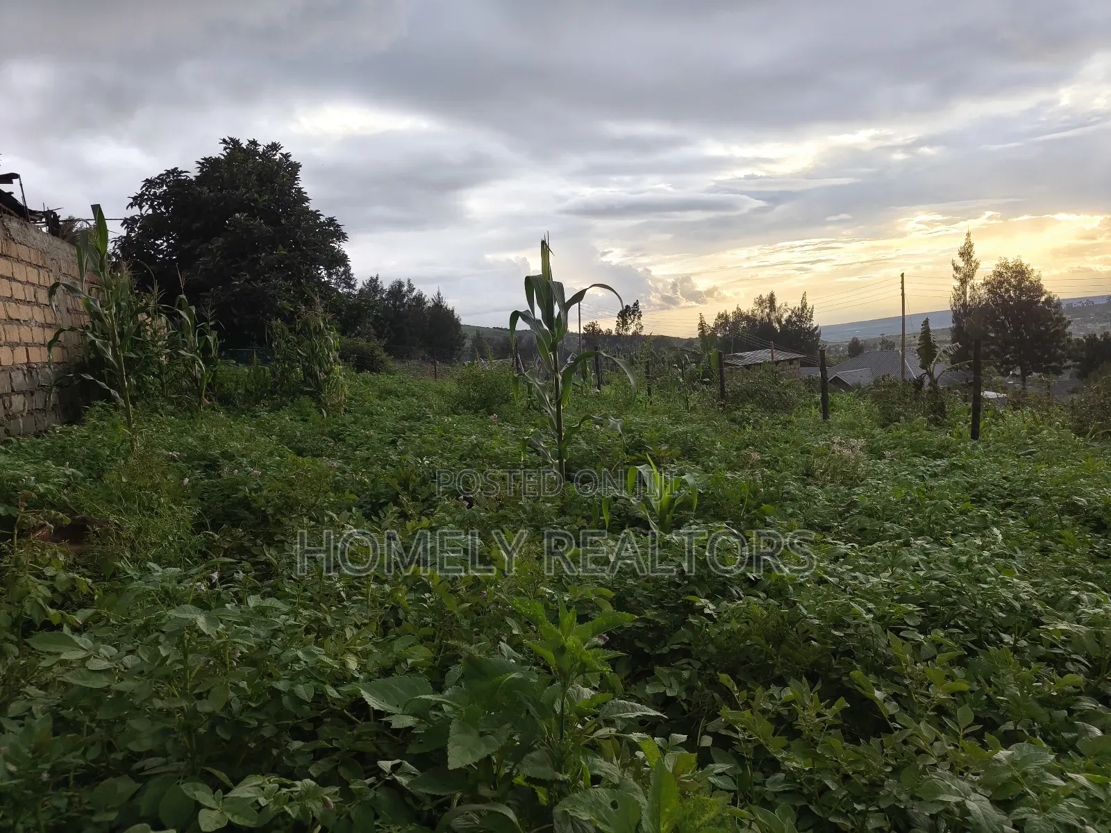 Eighth Acre Plot in Ngong Along Maragara 3rd Row From Tarmac in Ngong