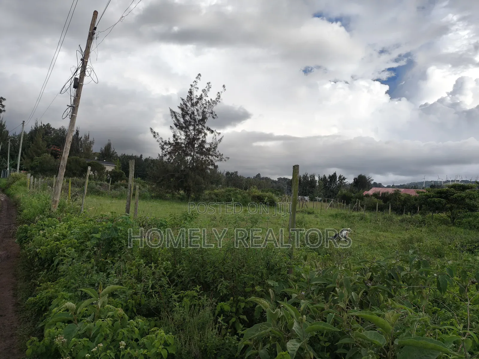 Large Eighth Acre (60*100) Plot in Ngong Along Maragara Road in Ngong
