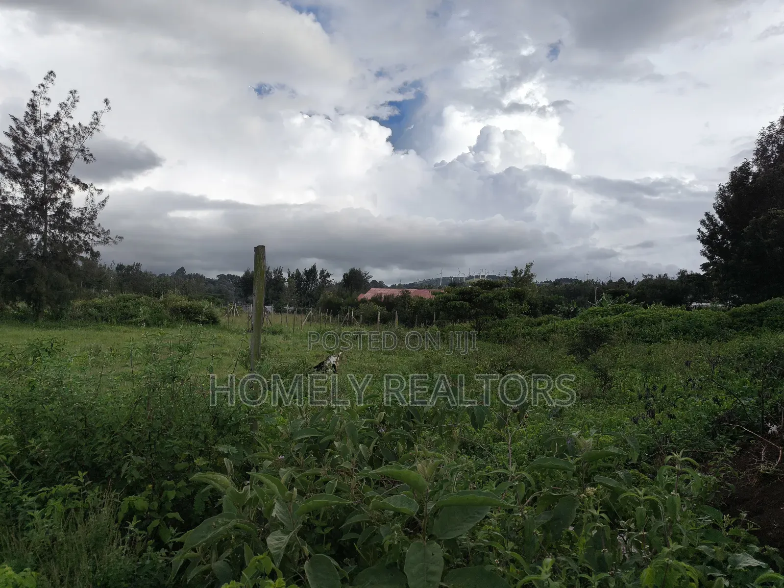 Large Eighth Acre (60*100) Plot in Ngong Along Maragara Road in Ngong