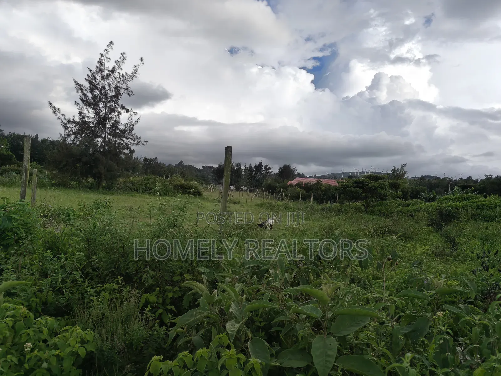 Large Eighth Acre (60*100) Plot in Ngong Along Maragara Road in Ngong