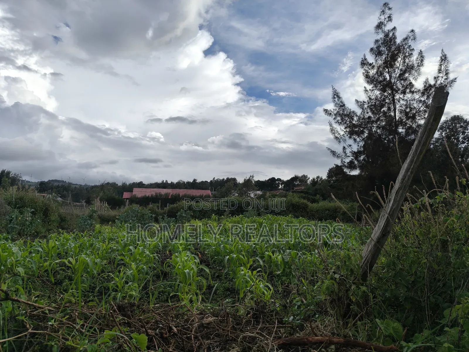 Eighth Acre Plot in Ngong Along Maragara Road Near Tarmac in Ngong