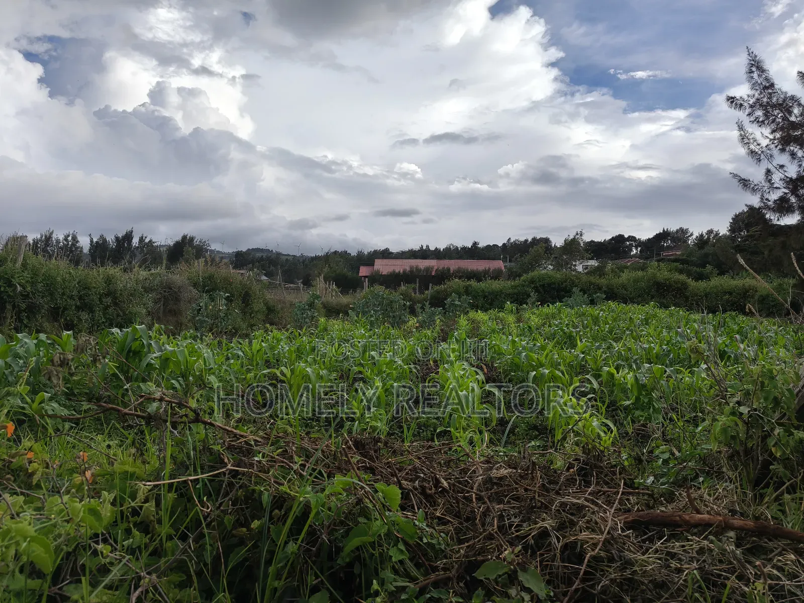 Eighth Acre Plot in Ngong Along Maragara Road Near Tarmac in Ngong