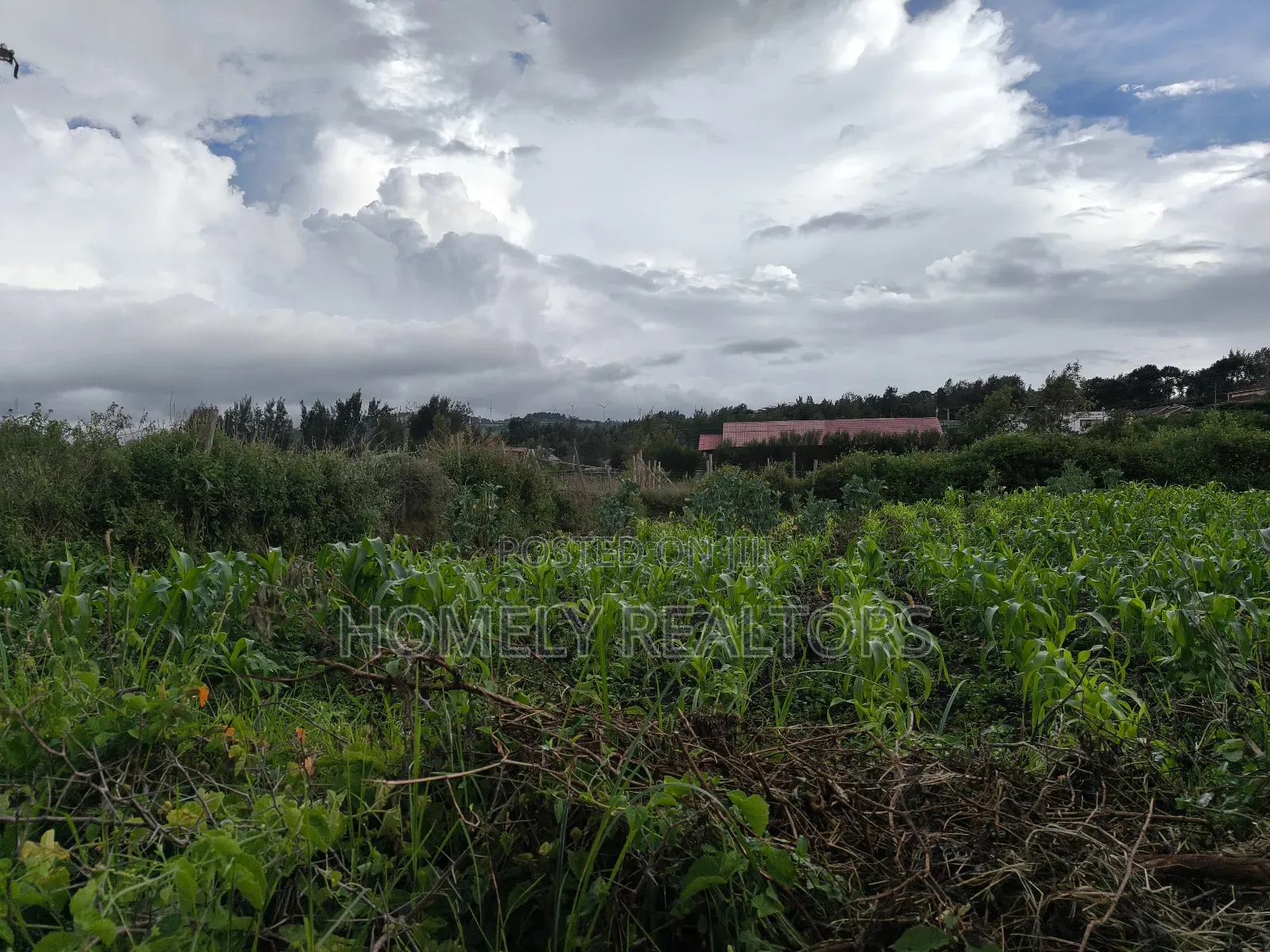 Eighth Acre Plot in Ngong Along Maragara Road Near Tarmac in Ngong