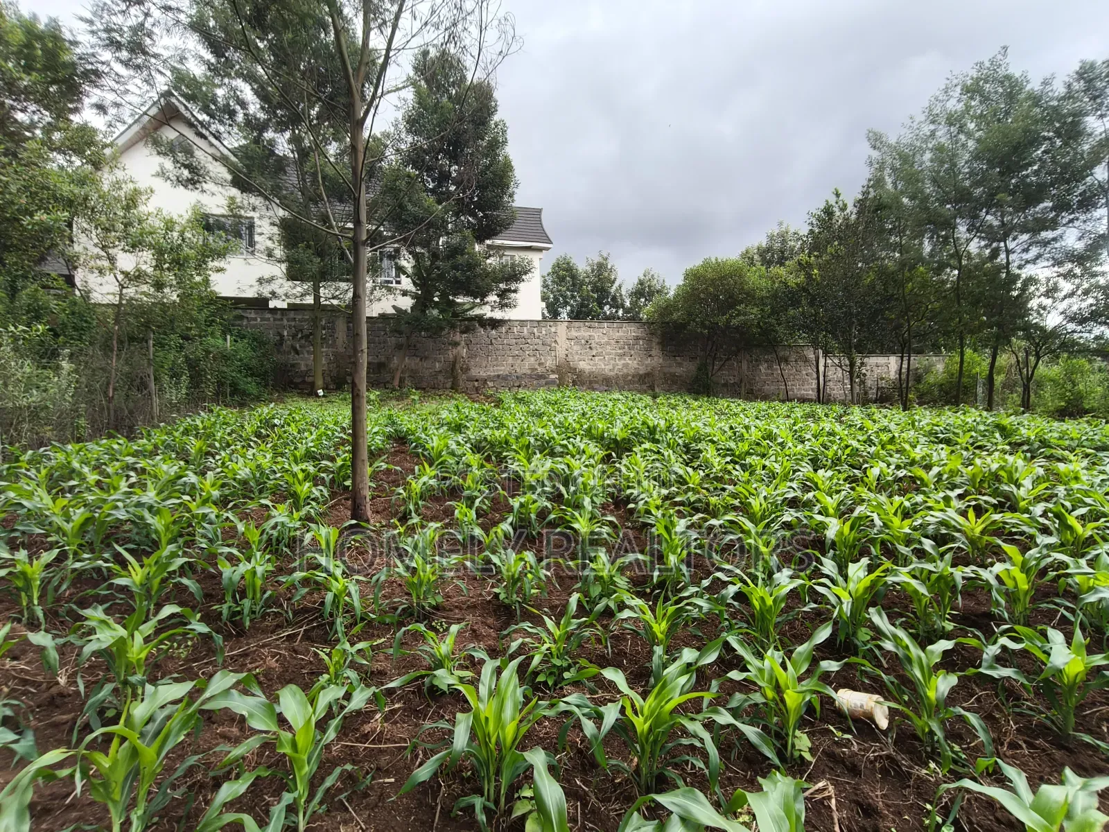 Strictly Residential Eighth Acre Plot in Kerarapon, Ngong in Kerarapon