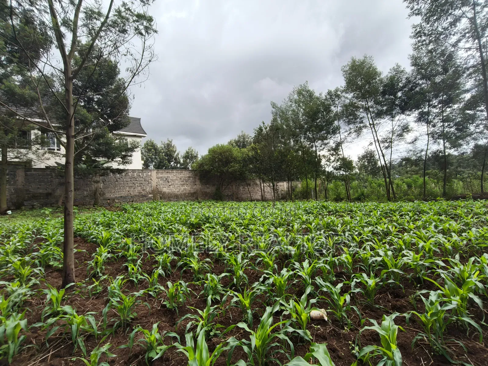 Strictly Residential Eighth Acre Plot in Kerarapon, Ngong in Kerarapon
