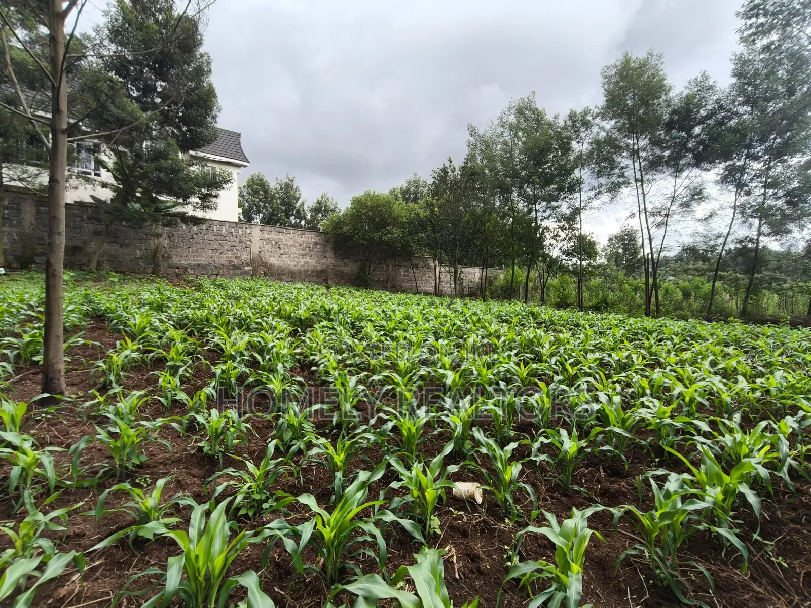 Strictly Residential Eighth Acre Plot in Kerarapon, Ngong in Kerarapon