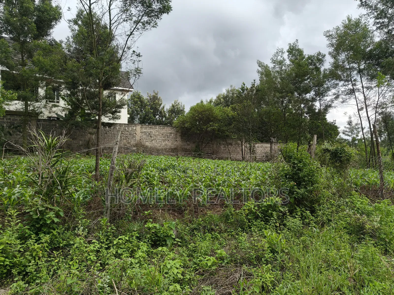 Strictly Residential Eighth Acre Plot in Kerarapon, Ngong in Kerarapon