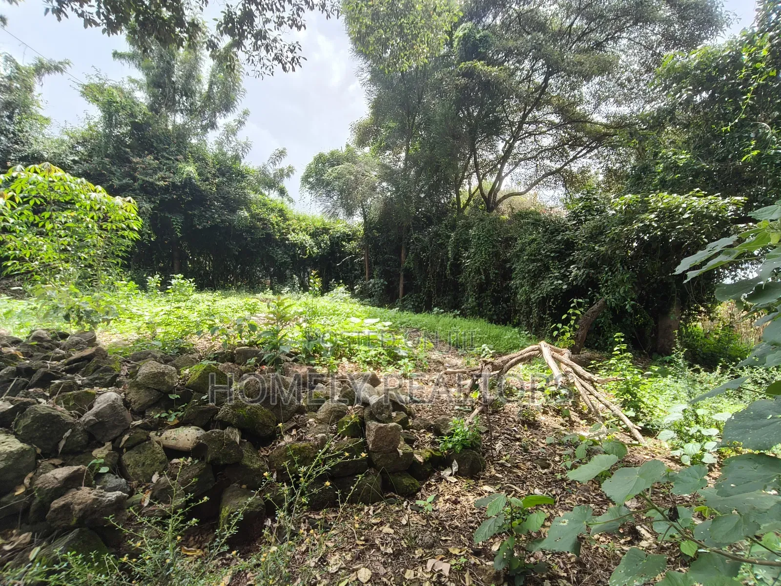 Resiential Eighth-Acre Plot in Kerarapon Ngong, Gated Estate in Kerarapon
