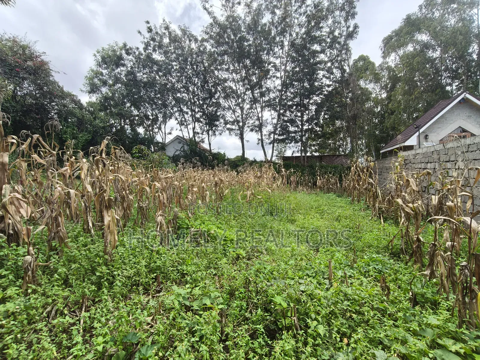 Gated Residential Eighth Acre Corner Plot in Kerarapon Ngong in Kerarapon