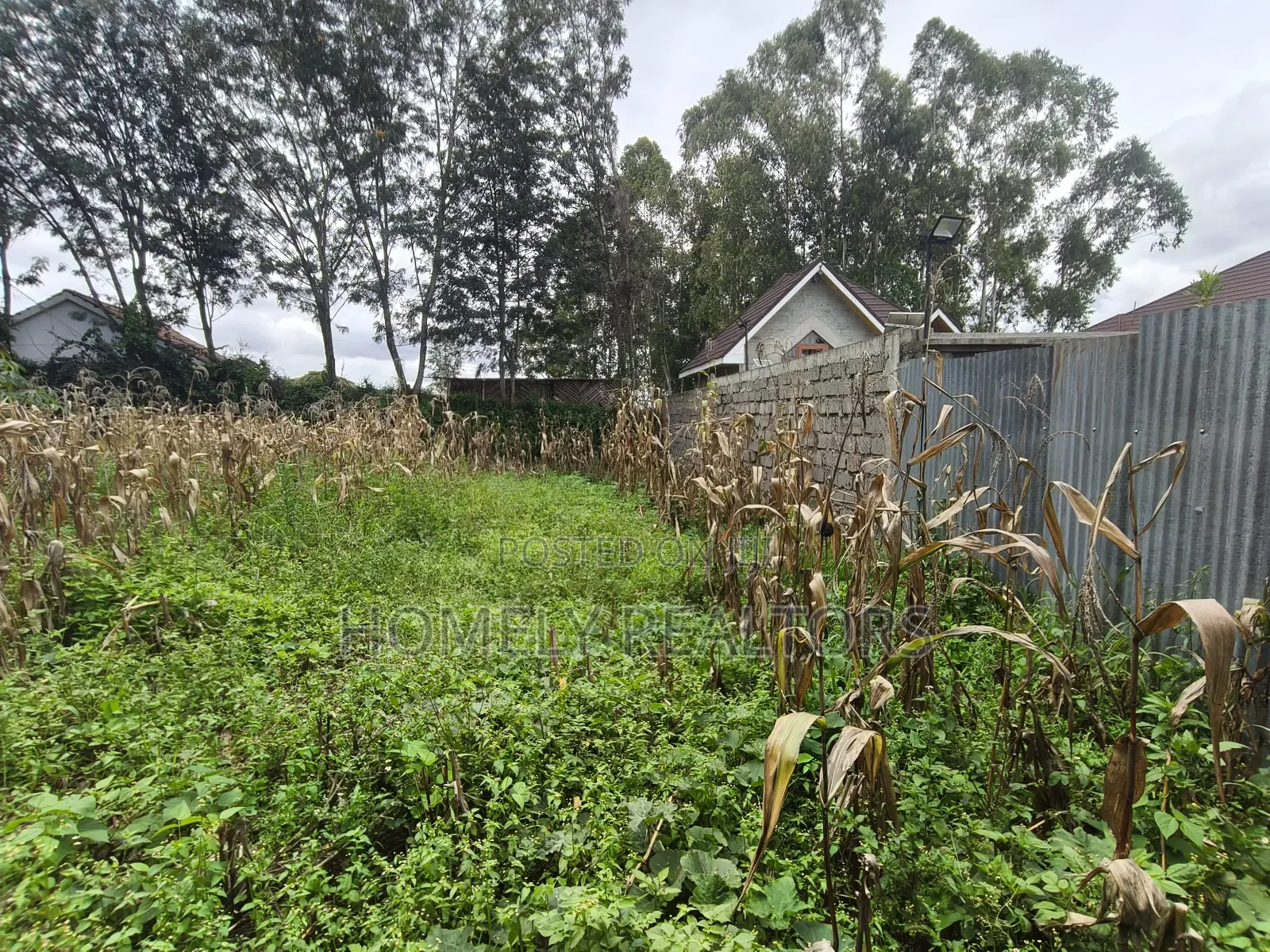 Gated Residential Eighth Acre Corner Plot in Kerarapon Ngong in Kerarapon