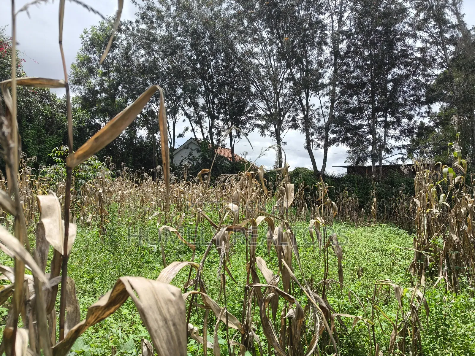Gated Residential Eighth Acre Corner Plot in Kerarapon Ngong in Kerarapon