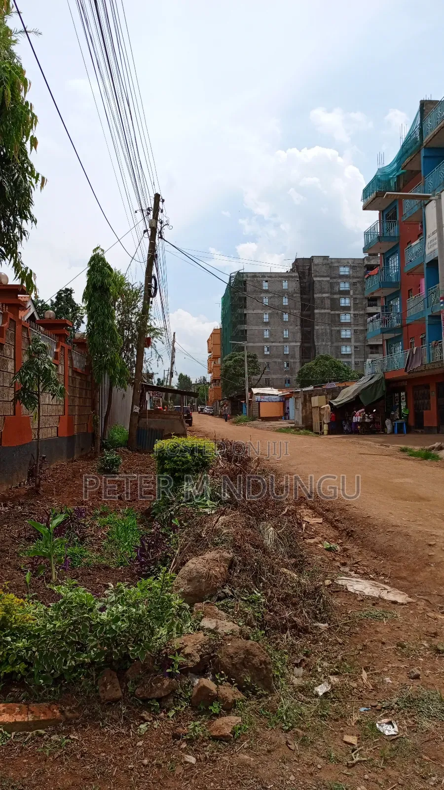 1/4 Acre Plot - Kiamumbi Real Estate Opportunity in Kiambu / Kiambu