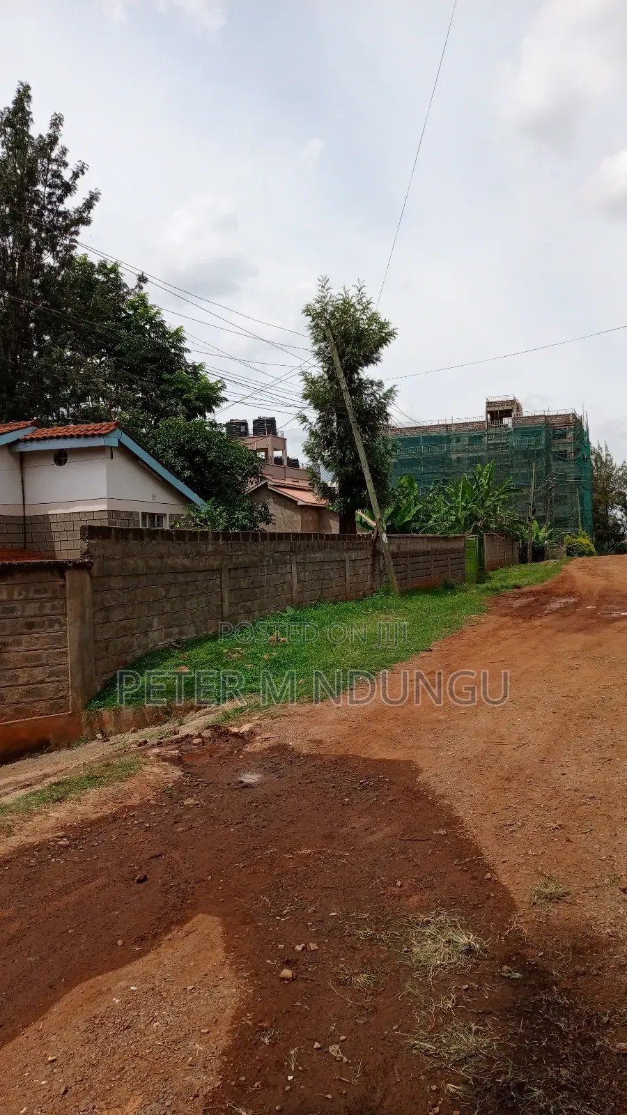 1/4 Acre Plot - Kiamumbi Real Estate Opportunity in Kiambu / Kiambu