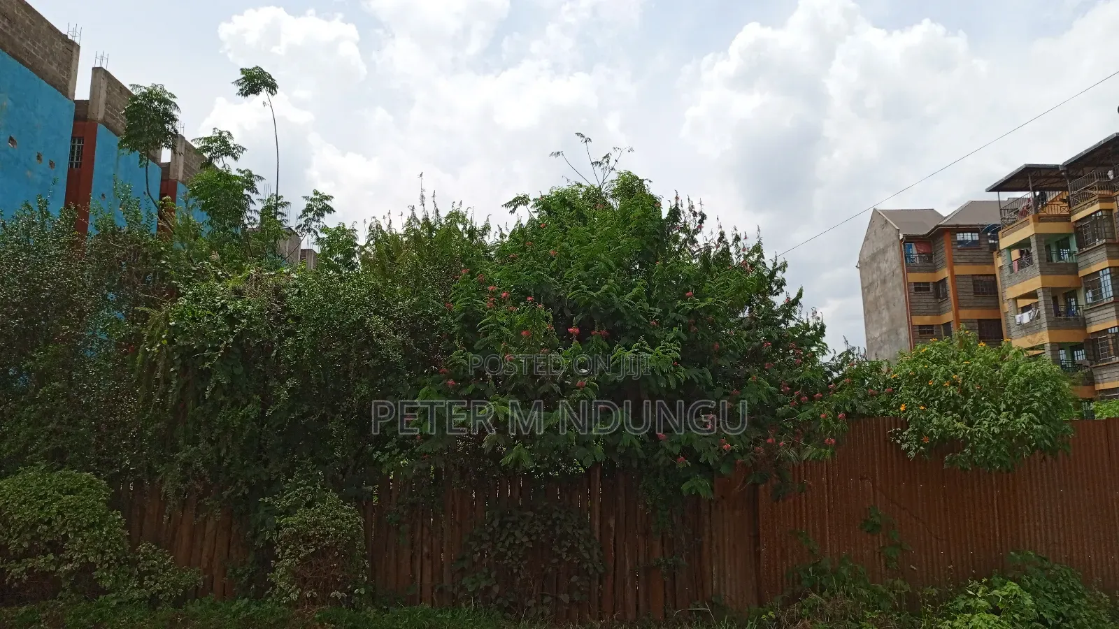 Commercial Land on Sale, 100*100, Kiamumbi in Kiambu / Kiambu