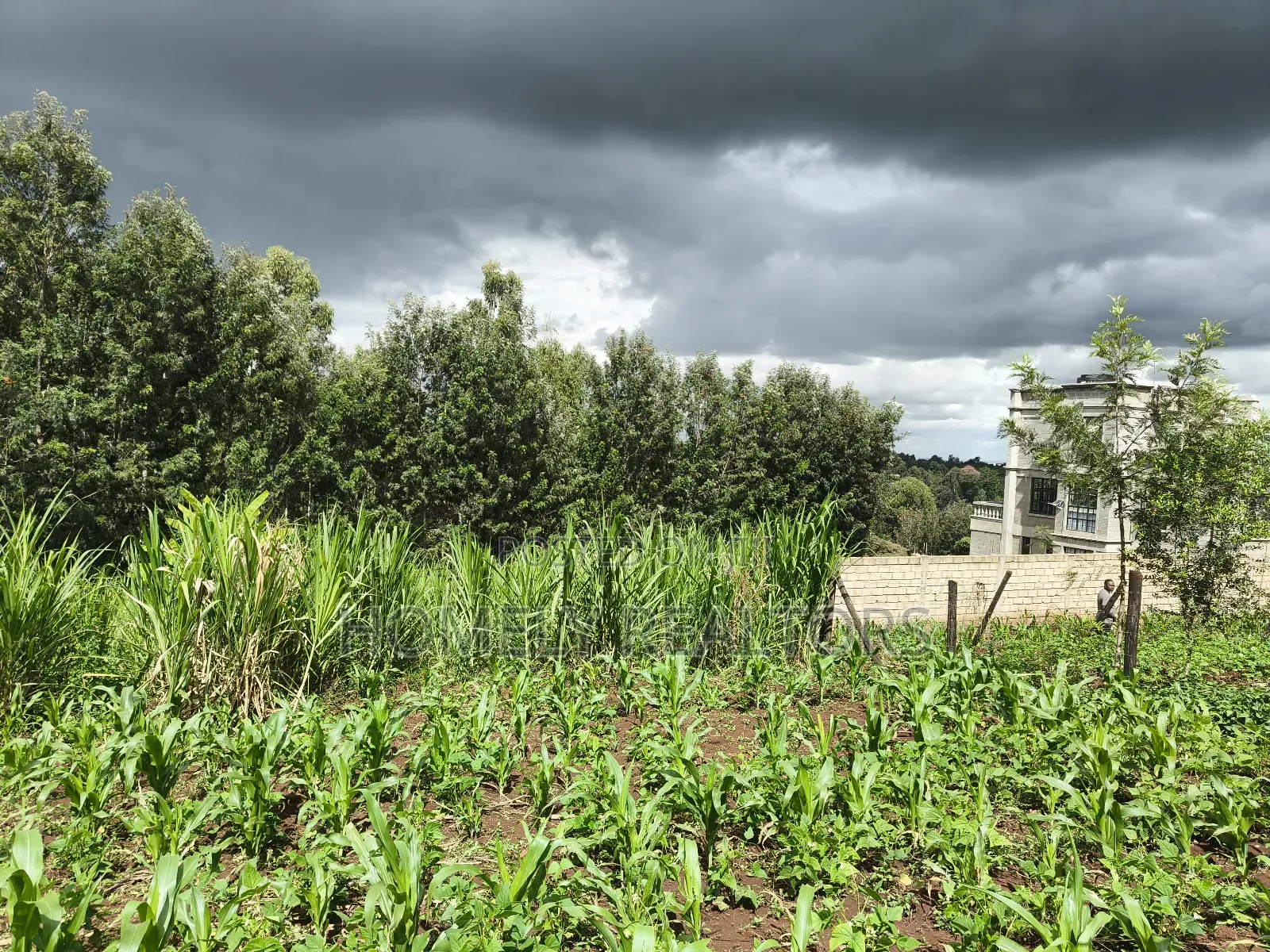 Residential Quarter Acre Plot in Ngong, Matasia Near Silanga in Matasia