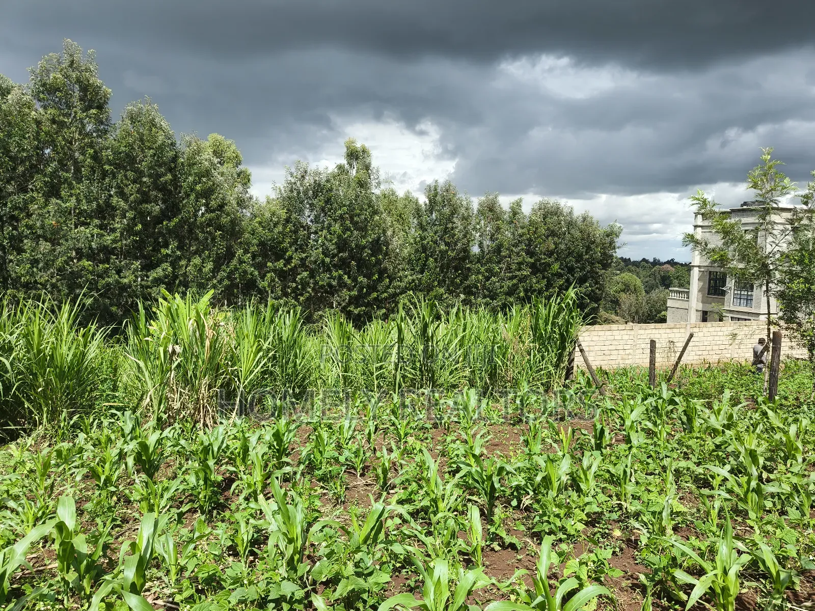 Residential Quarter Acre Plot in Ngong, Matasia Near Silanga in Matasia