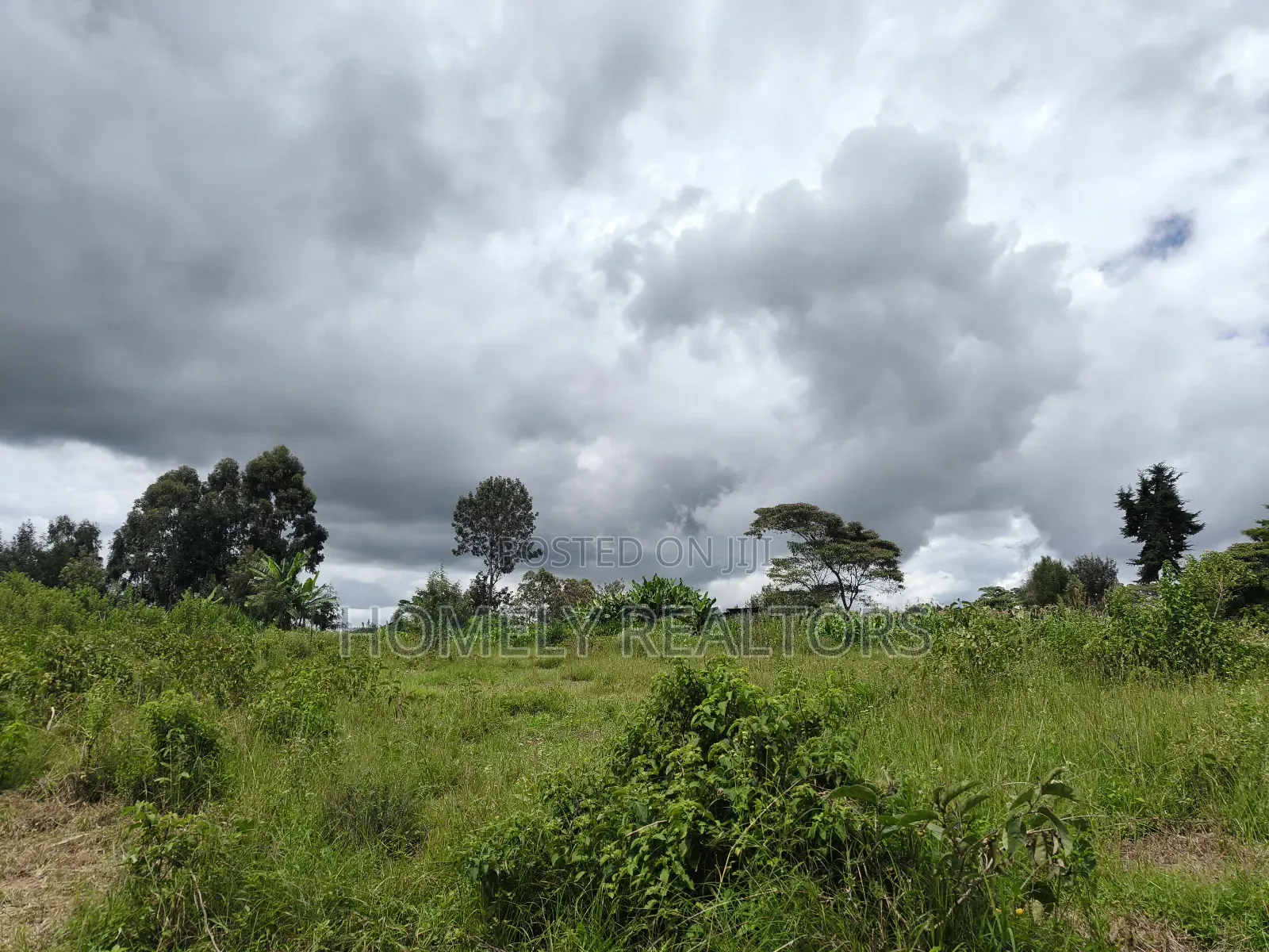 Quarter Acre Plot in Ngong, Kahara Near the Main Road in Ngong