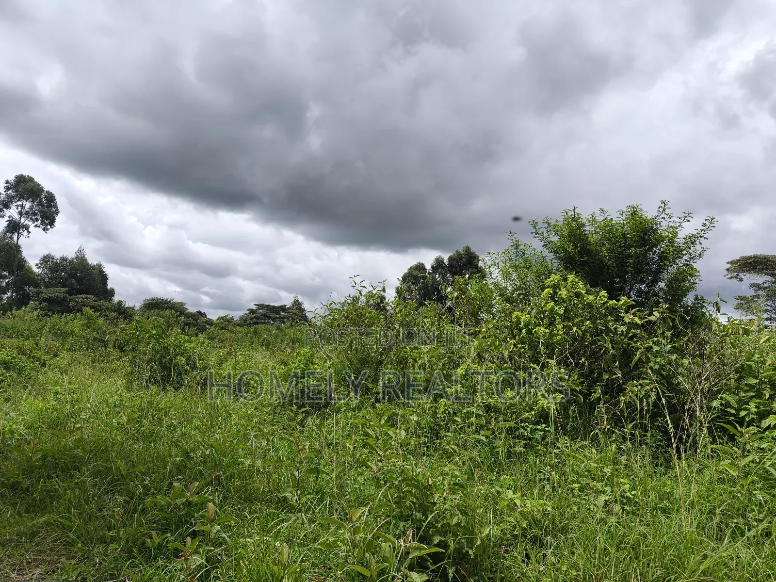 Quarter Acre Plot in Ngong, Kahara Near the Main Road in Ngong